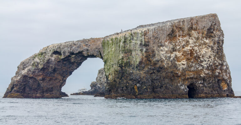 Anacapa Island Arch, Channel Islands National Park