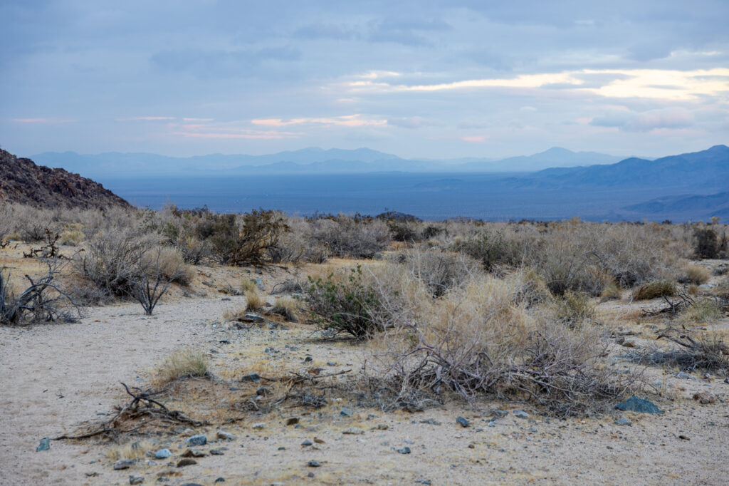 Overlooking Pinto Basin